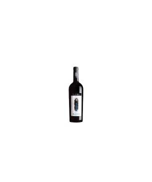 Blandus vino  rosso Terre di Balbia 2016