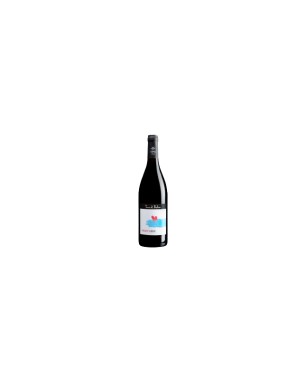 Fervore vino rosso Terre di Balbia 2016
