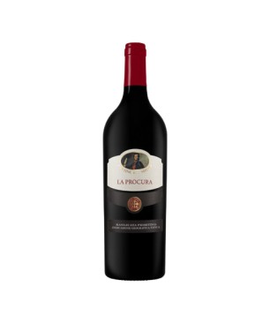 La Procura vino rosso Cantine del Notaio 2021