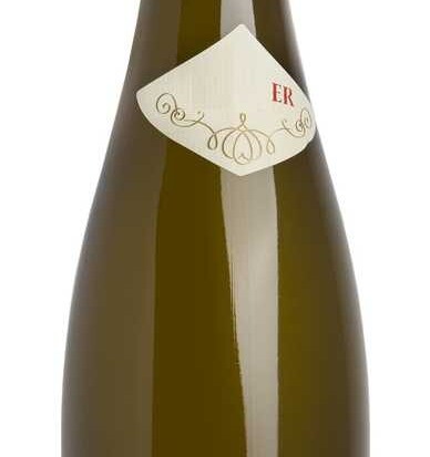 Dr.Fischer  trocken riesling 2023 j.hofstatter