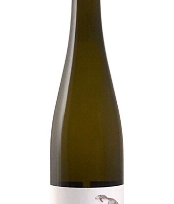 Falkenstein riesling 2023
