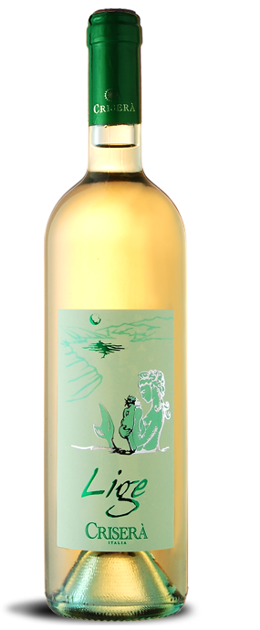 Lige Bianco cantina Criserà