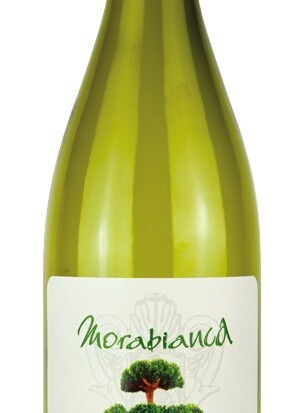 Morabianca falanghina doc Mastroberardino