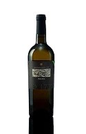 Pircoca vino bianco bio 2024 cantina Masseria falvo