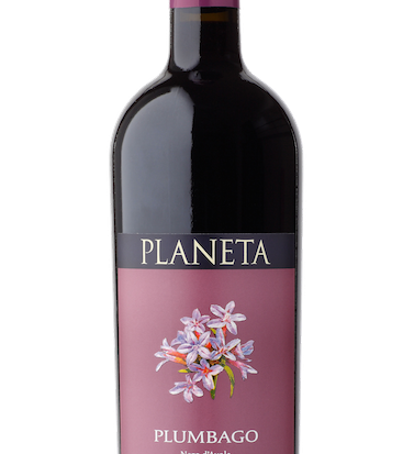 Plumbago  vino rosso doc cantina Planeta