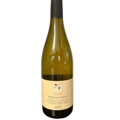 Ribolla gialla vino bianco cantina  tercic 2020
