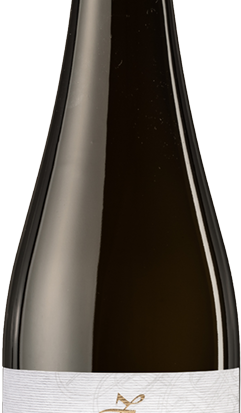 Riesling vino bianco cantina Peter Zemmer