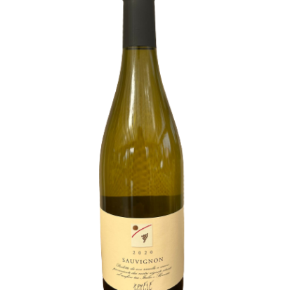 sauvignon vino bianco cantina  tercic 2020