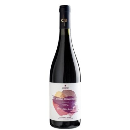 Terra cantine Benvenuto 2020 vino  rosso igp